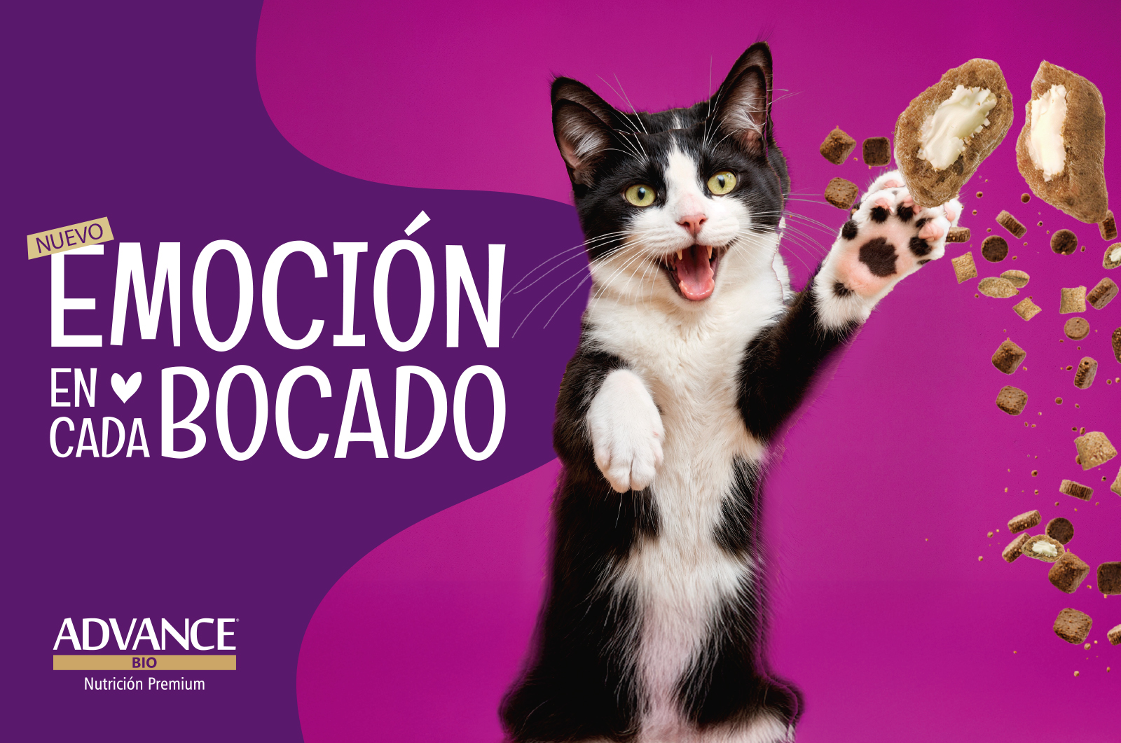 Perro junto a alimento, imagen referencial del caso Advance Bio